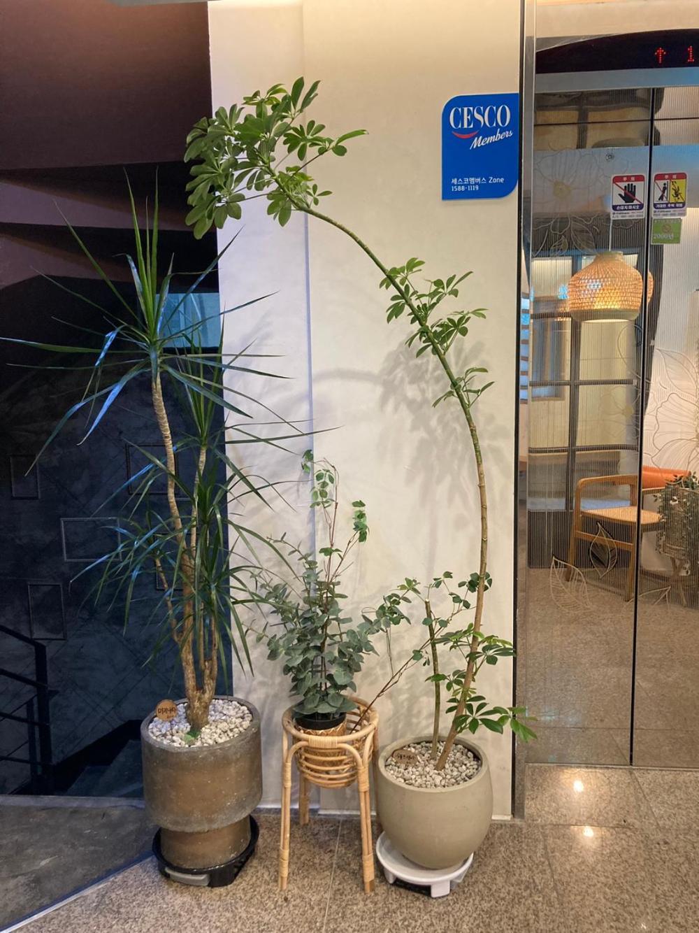 Hotel Less Сеул Экстерьер фото